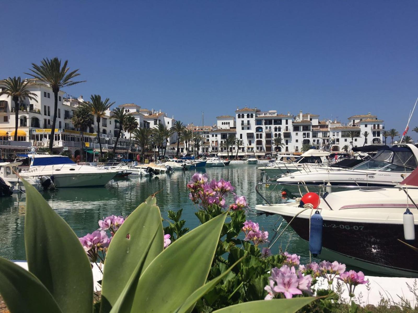 Apartment 2233-lovely 2 Bedrooms On The Beach, Pool And Port *